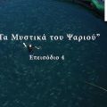 Τα Μυστικά του Ψαριού – Επεισόδιο 4 | Caruso.gr