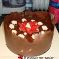 Chocolate and red fruit gateau