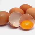 Ωμά αυγά-Σαλμονέλα-Παστερίωση
