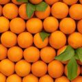Τα θρεπτικά στοιχεία του πορτοκαλιού.