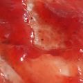 Αρωματική μαρμελάδα φράουλα με εκχύλισμα[...]
