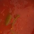 Σάλτσα ντομάτας (για μακαρονια) συνταγή από[...]