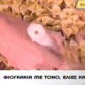 Φιογκάκια με τόνο, ελιές και κάπαρη (σε 10')