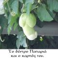 O Blogger ...και'γω..!!(3)
