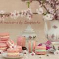 Macarons.