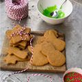 Χριστουγεννιάτικα μπισκότα gingerbread