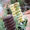 FROZEN YOGURT POPS (ΠΑΓΩΤΙΝΙΑ ΓΙΑΟΥΡΤΙΟΥ)