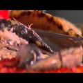 Chef στον αέρα- skai.gr-πιτσάκια με σαρδέλες