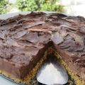 CHEESECAKE ΟΛΟ ΣΟΚΟΛΑΤΑ!!! Σε 20 λεπτά είναι[...]