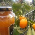 Μαρμελάδα kumquat. Η πιο ξεχωριστή του κόσμου![...]