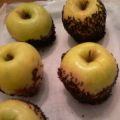 Μήλα με επικάλυψη καραμέλας βουτύρου και τρούφα[...]