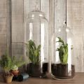 Terrarium μίνι κήπος μέσα στο σπίτι σας