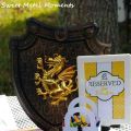 KNIGHT AND PRINCESS party