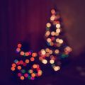 smells like christmas, smells like chocolate