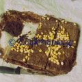 Brownies με στιγμιαίο καφέ και σταγόνες[...]