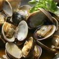 Κυδώνια (vongole) με σάλτσα μουστάρδας