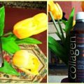 ~ Pro-active liquid Collagen Review ~