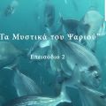 Τα Μυστικά του Ψαριού - Επεισόδιο 2 (video) |[...]