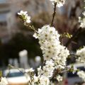 Προτάσεις για την 25η Μαρτίου