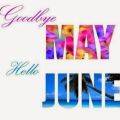 ~ May Favorites ~