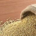 Κινόα (Quinoa)