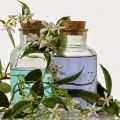 ΕΝΕΡΓΑ ΣΥΣΤΑΤΙΚΑ ACTIVE COMPOUNDS