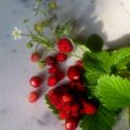 Φράουλες και φραουλίτσες: μαρμελάδα