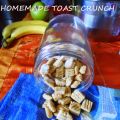 ΣΠΙΤΙΚΑ ΔΗΜΗΤΡΙΑΚΑ ΠΡΩΙΝΟΥ (ΤΥΠΟΥ TOAST CRUNCH)