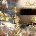Από τη γη της μάνας Κρήτης... Bioaroma