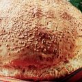 Χωριάτικο ταβόψωµο µε προζύµι | Συνταγή |[...]