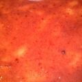 Πανεύκολο cheesecake συνταγή από vickyyy