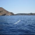 Ένα διαφορετικό ψάρ(εμα)...!