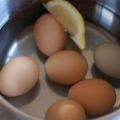 Θα πάθετε πλάκα: Βράζει αυγά και ρίχνει μέσα[...]