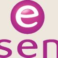 ~ Essence Review ~