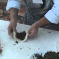 Μαραθόπιτες με την chef Ιωάννα Παντελάκη
