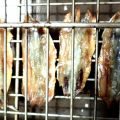 ΛΙΟΚΑΥΤΟΣ ΓΑΒΡΟΣ ΜΕ ΛΙΑΣΤΗ  ΝΤΟΜΑΤΑ