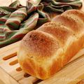 ΠΡΟΖΥΜΕΝΙΟ ΨΩΜΙ ΜΕ ΡΙΓΑΝΗ ΚΑΙ ΕΛΑΙΟΛΑΔΟ // PANE[...]