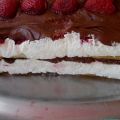 Γλυκό ψυγείου με φράουλες και Nutella συνταγή[...]