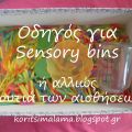 Sensory bins ή αλλιώς κουτιά των αισθήσεων!