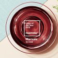 Marsala ...Marsala! Το χρώμα του 2015!