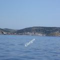 Με... τους θαλασσινούς φτερωτούς μας φίλους..!