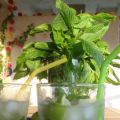 Mojitooooooooooooo!!!!!!!!!!!