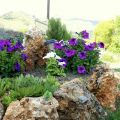 ιδέες για τον κήπο και το μπαλκόνι [ideas for[...]