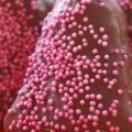 Marshmallows σοκολατένια συνταγή από Phoebe[...]